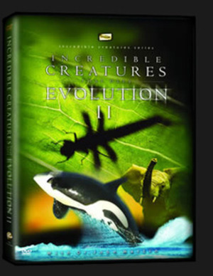 Incredible Creatures That Defy Evolution – 2
